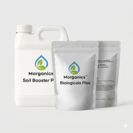 Morganics Regenerative System AG