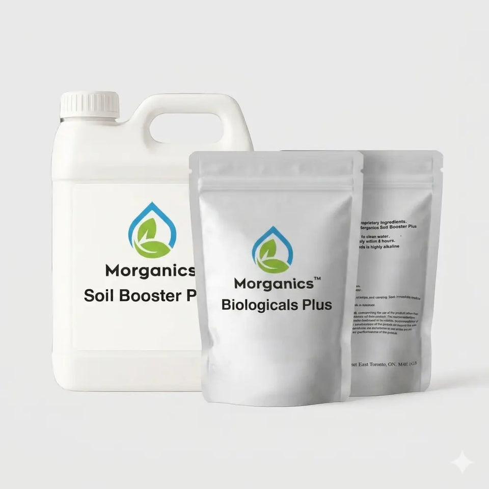 Morganics Regenerative System HG